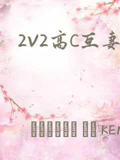 2V2高C互妻