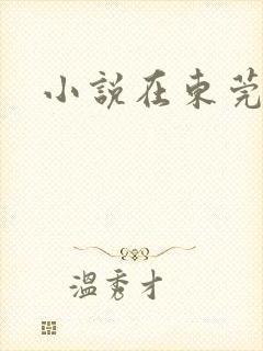 小说在东莞