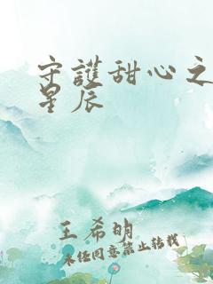 守护甜心之暗夜星辰