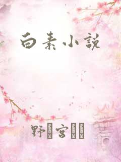 白素小说