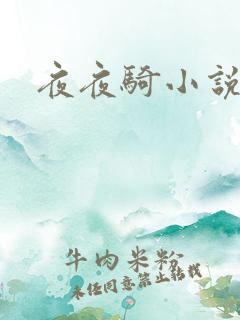 夜夜骑小说