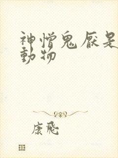 神憎鬼厌是什么动物