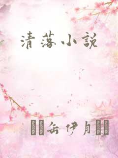 清落小说