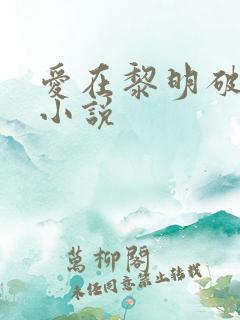 爱在黎明破晓前小说