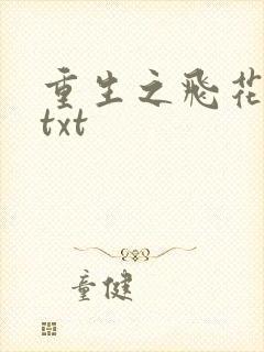 重生之飞花落照txt
