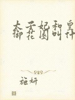 太子妃和皇帝在御花园叫什么小说