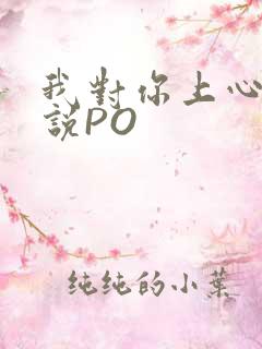 我对你上心了小说PO