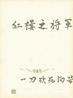 红楼之将军