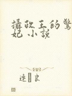 摄政王的惊世嫡妃 小说