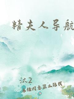精夫人导航