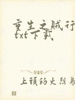 重生之贼行天下 txt下载