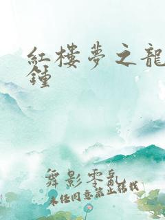 红楼梦之龙套秦钟