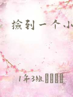 捡到一个小妖精