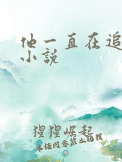他一直在追初恋小说