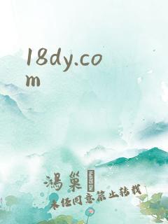 18dy.com