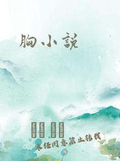 胸小说