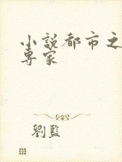 小说都市之军火专家