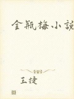 金瓶梅小说