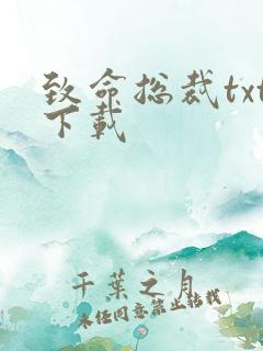 致命总裁txt下载