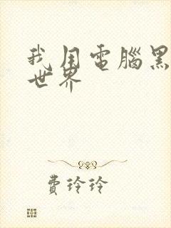 我用电脑黑了全世界