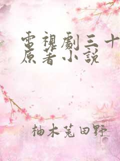 电视剧三十而已原著小说