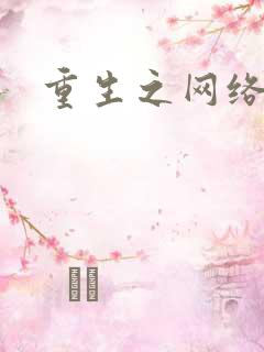 重生之网络大亨