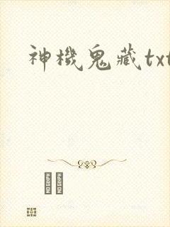 神机鬼藏txt