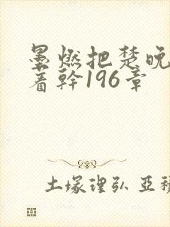墨燃把楚晚宁按着干196章