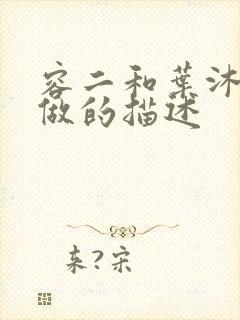 容二和叶沐走着做的描述