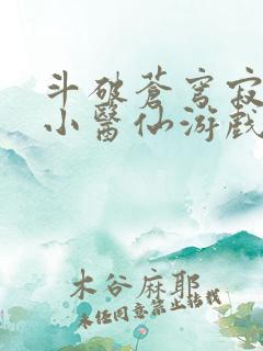 斗破苍穹寂寞的小医仙游戏世界