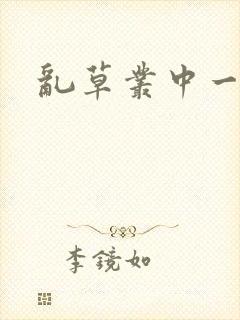 乱草丛中一杆枪