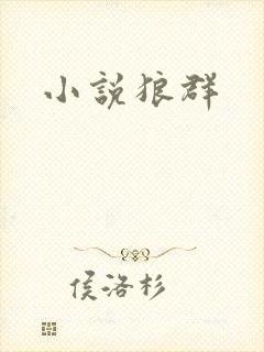 小说狼群