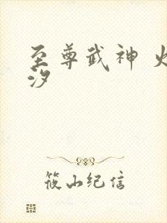 至尊武神 火龙汐