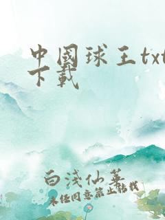 中国球王txt下载