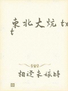 东北大炕 txt