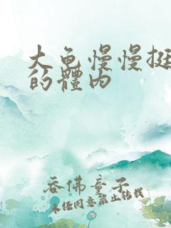 大龟慢慢挺进我的体内