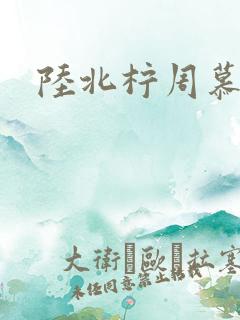 陆北柠周慕深