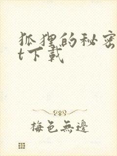 狐狸的秘密txt下载