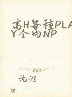 高H各种PLAY全肉NP
