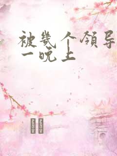 被几个领导玩弄一晚上