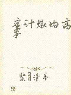 蜜汁炖肉高H故事