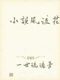 小说风流花少