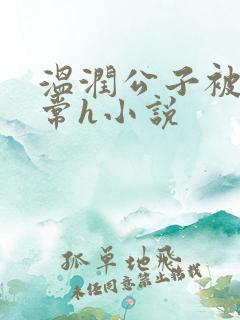 温润公子被脔日常h小说