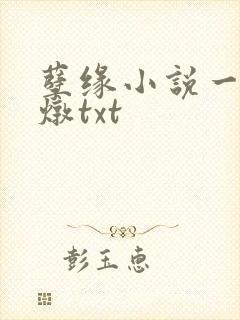 孽缘小说一家乱炖txt