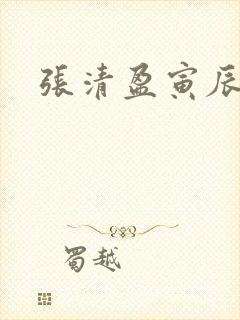 张清盈寅辰小说