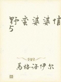 野蛮婆婆俏媳妇5