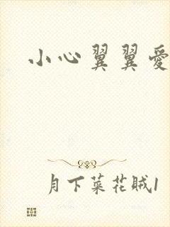 小心翼翼爱上你