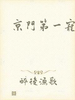 京门第一宠