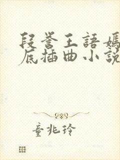 段誉王语嫣在井底插曲小说