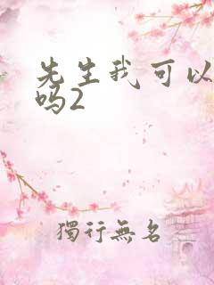 先生我可以上你吗2